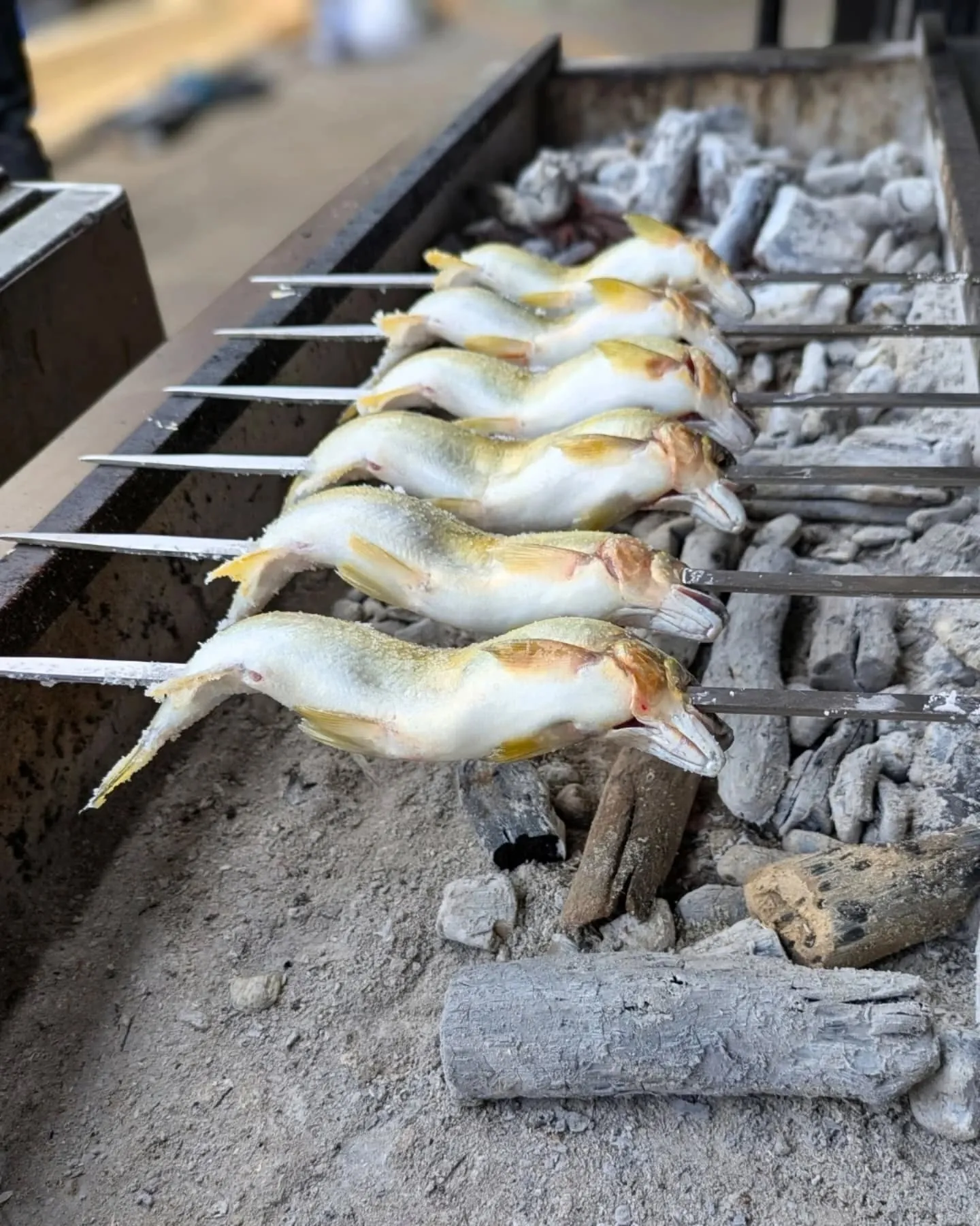 当店は【鮎食べ！キャンペーン鮎料理フェア】の参加店です。