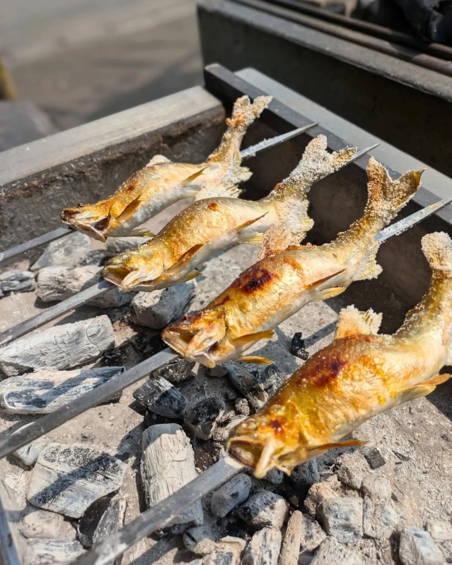 当店は【鮎食べ！キャンペーン鮎料理フェア】の参加店です。